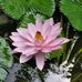 Catherine Yip - Facebook