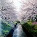 Catherine Yip - Facebook
