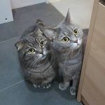 Catherine Yip - @cat_y1p - Instagram