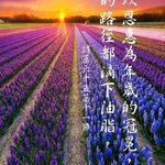 Catherine Yip - @catyip2001 - Instagram