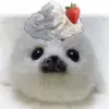 ⭐ᴄᴀᴛʜᴇʀɪɴᴇ⭐ - @catherineyipeee_ - TikTok