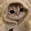 CATHERINE - @catherine_zhangg - TikTok