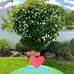 Catherine Zhang - Facebook