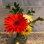 Cathi Jones - @catjo45 - Instagram