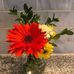 Cathi Jones - Facebook