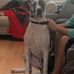 Cathi Martin - Facebook