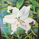 Catherine V Bainbridge - @a_floral_signature - Instagram