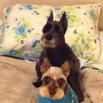 Cathy Lane - @seether1308 - Instagram