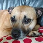 Kathleen Bowen - @bowen3181 - Instagram