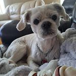 Kathleen Buchanan - @buchanank - Instagram