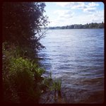 Cathleen Cates - @divatfi - Instagram