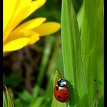 Kathleen Cates - @kathleen.cates.71 - Instagram