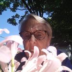 Kathleen F Cates - @aoileach - Instagram