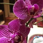 catCohen - @cathleencohen - Instagram