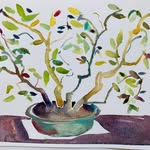 Cathleen Cohen - @cohencathleen - Instagram