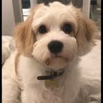 Kathleen Cooper - @kathleencooper759 - Instagram