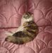 Kathleen Cramer - Facebook