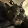 Kathleen Cramer - @kathleencramer6 - TikTok