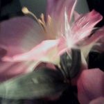 Kathleen Everett - @kathl_een64 - Instagram