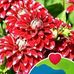 Cathleen Hendricks - Facebook