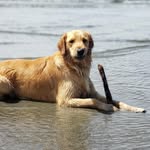 Kathleen Welp-Hendricks - @kwhendricks67 - Instagram