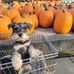 Cathleen Hess - Facebook