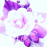 Kathleen Hess - @kathleen.hess.543 - Instagram