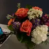 Kathleen Hess - @kathleen.hess3 - TikTok