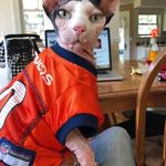Cathleen Ann Larson - @hattieanglesbakerlathrop - Instagram