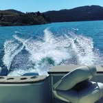 Kathleen Larson - @daisykat9696 - Instagram