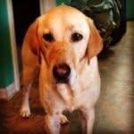 Kathleen Lyons - @klyons64 - Instagram