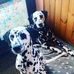 Kathleen Lyons - Facebook
