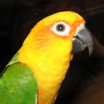 Kathleen Lyons - @kathleen.lyons.737 - Instagram