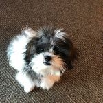 Kathleen Meyer - @kathleen.meyer.374 - Instagram