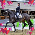 Kathleen Meyer - @dressurausbildung_k._meyer - Instagram