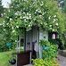 Cathleen Moran - Facebook