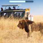 Kathleen Pearson - @pearsons_africansafari_2023 - Instagram