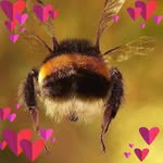Cathleen Ryan - @tinkswings - Instagram