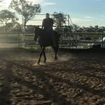 Kathryn Barrett - @horses4life_barrett.kathryn - Instagram