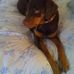 Cathryn Carroll - Facebook