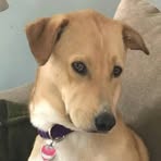 Kathryn Estes - Facebook