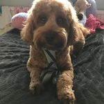 Cathryn Foster - @katefoster7206 - Instagram