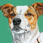Cathryn Gamble - @cathryngambleillustration - Instagram