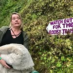 Kathryn Gilbert - @kathryn.gilbert.92 - Instagram