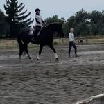 Kathryn Gilbert🐴 - @kathryn.gilbert_equestrian - Instagram