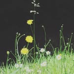 Cathryn Gill - @cathryn27photography - Instagram