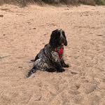 Kathryn Gregory - @kathryngregory4379 - Instagram