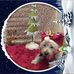 Cathryn Griffiths - Facebook