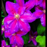 Kathryn Higgins - @kathrynhigginsphotography - Instagram
