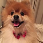 Kathryn Hoffman - @kathryn_hoffman_529742 - Instagram